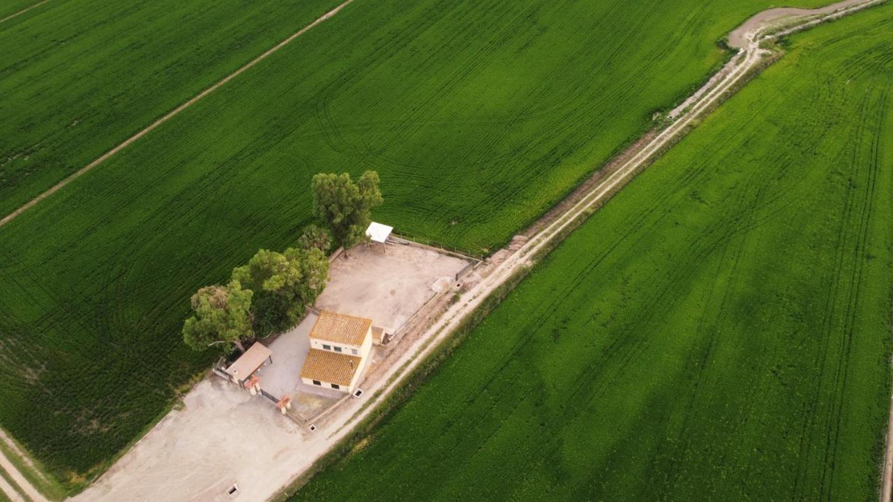 Lo Maset De Laura Villa Amposta Exterior photo